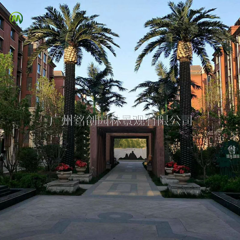 皇冠国际酒店仿真海枣树